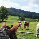 农家乐 Pleschinhof