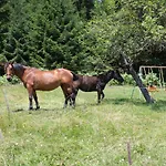 Pleschinhof 农家乐 沃尔特湖畔韦尔登