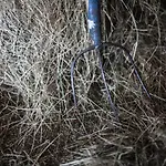 Pleschinhof 农家乐 沃尔特湖畔韦尔登