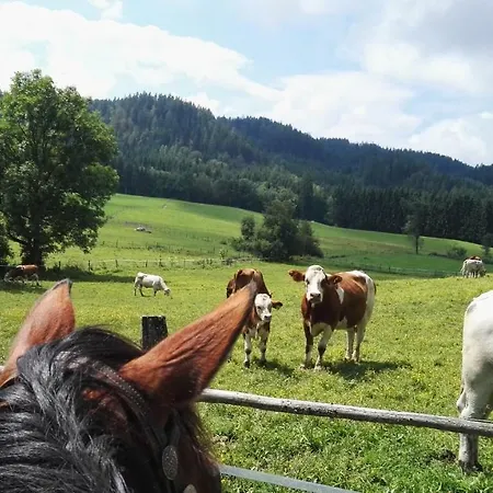 Farmház Pleschinhof