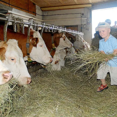 Farmház Pleschinhof *