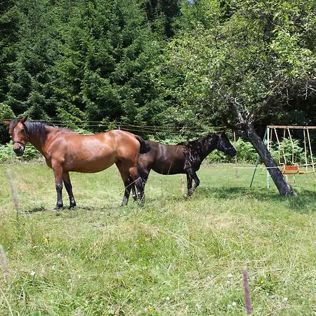 Pleschinhof Farmház Velden am Wörthersee