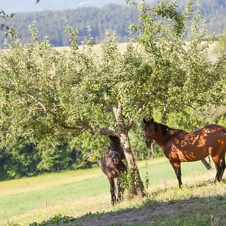Gospodarstwo agroturystyczne Pleschinhof *
