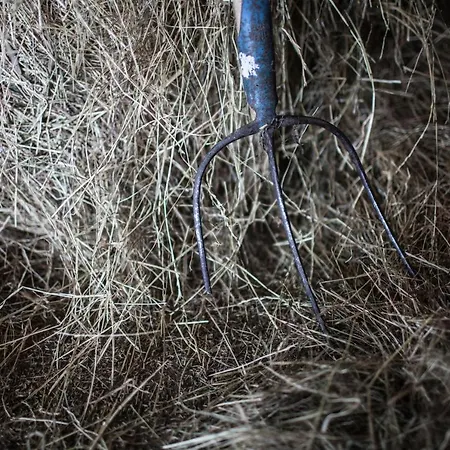 Pleschinhof 农家乐 沃尔特湖畔韦尔登