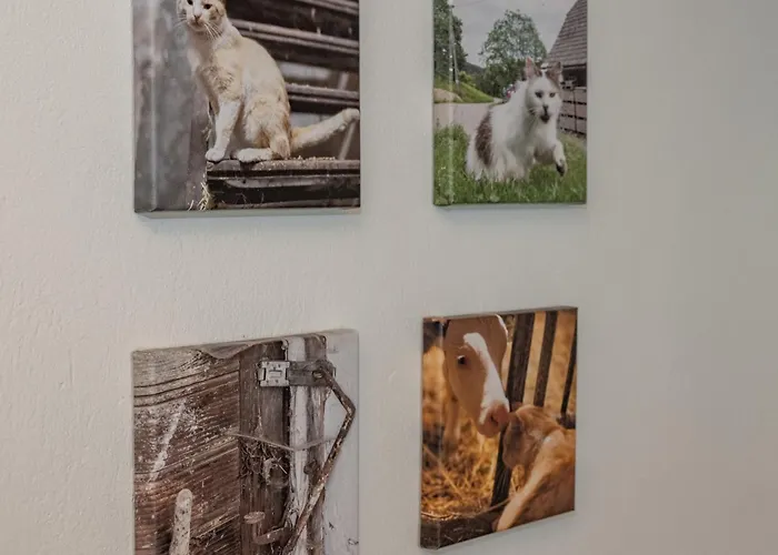 Bauernhof Pleschinhof Velden am Wörthersee