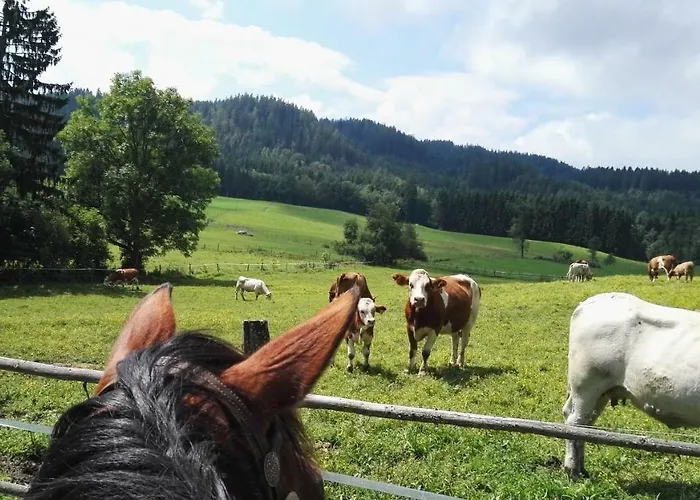 Gospodarstwo agroturystyczne Pleschinhof