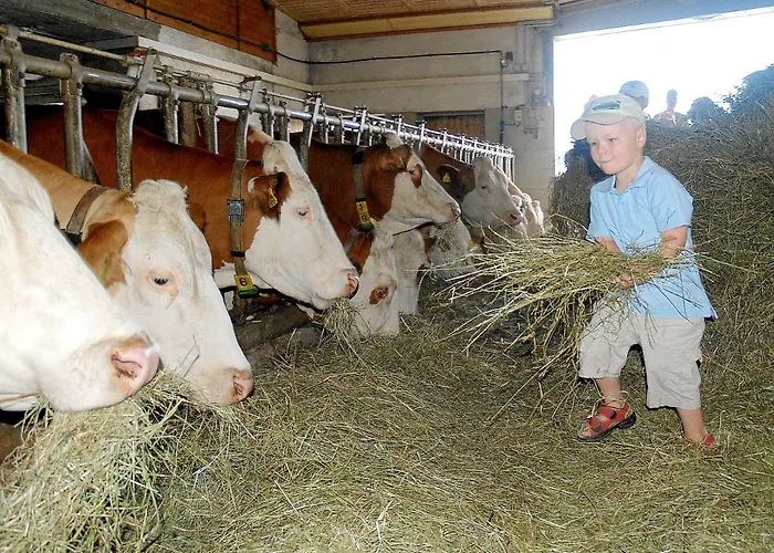 Farm stay Pleschinhof *