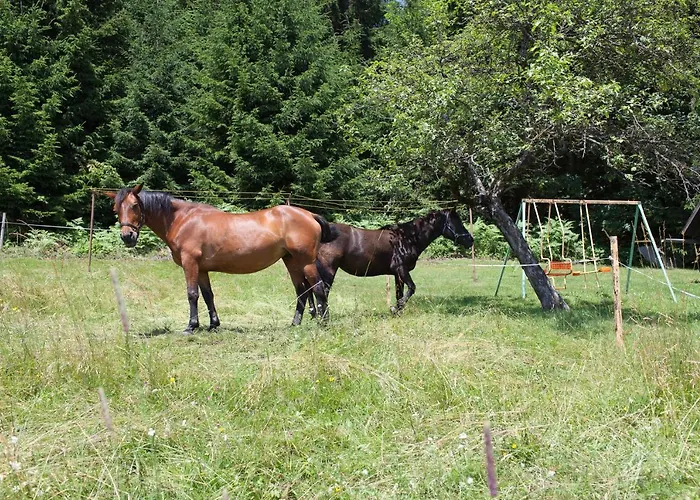 Pleschinhof Gospodarstwo agroturystyczne Velden am Wörthersee