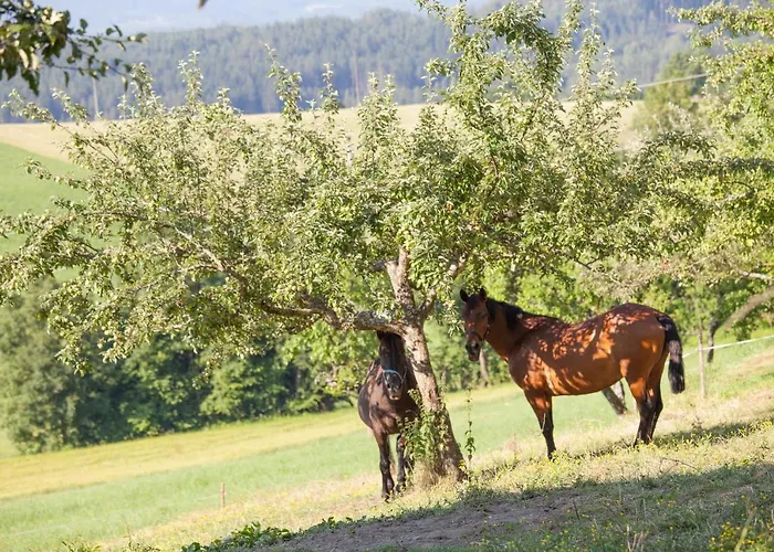 Farm stay Pleschinhof *
