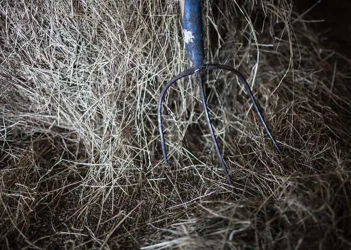 Pleschinhof Bauernhof Velden am Wörthersee