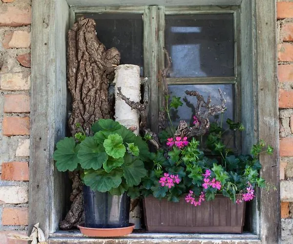 Farm stay Pleschinhof