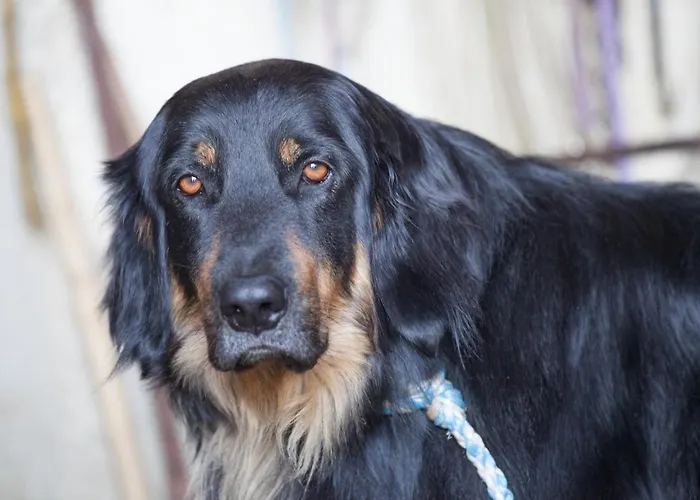 Pleschinhof * Velden am Wörthersee